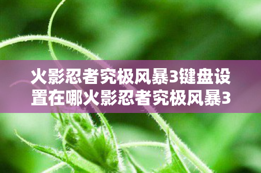 火影忍者究极风暴3键盘设置在哪火影忍者究极风暴3键盘设置指南图片