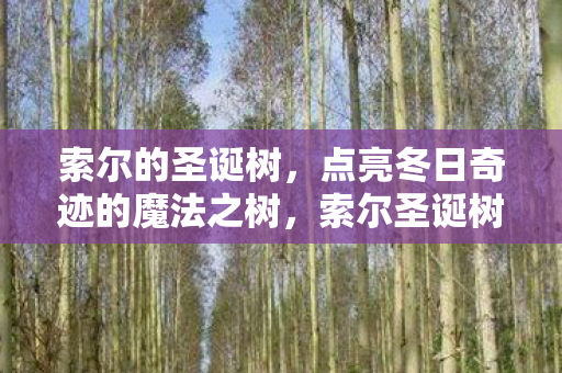 索尔的圣诞树,点亮冬日奇迹的魔法之树,索尔圣诞树,点亮冬日奇迹的魔法之树 索尔的圣诞树,点亮冬日奇迹的魔法之树,索尔圣诞树,点亮冬日奇迹的魔法之树