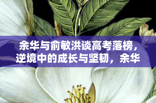 余华与俞敏洪谈高考落榜,逆境中的成长与坚韧,余华与俞敏洪共话,逆境中的成长与坚韧 余华与俞敏洪谈高考落榜,逆境中的成长与坚韧,余华与俞敏洪共话,逆境中的成长与坚韧