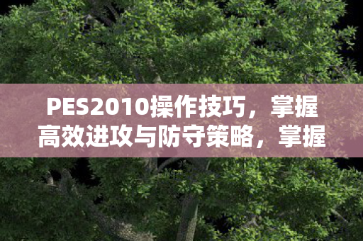 PES2010操作技巧,掌握高效进攻与防守策略,掌握高效进攻与防守策略,PES2010操作技巧 PES2010操作技巧,掌握高效进攻与防守策略,掌握高效进攻与防守策略,PES2010操作技巧