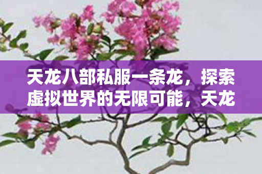 天龙八部私服一条龙,探索虚拟世界的无限可能,天龙八部私服,探索虚拟世界的无限可能 天龙八部私服一条龙,探索虚拟世界的无限可能,天龙八部私服,探索虚拟世界的无限可能