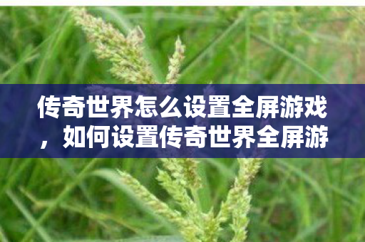 传奇世界怎么设置全屏游戏，如何设置传奇世界全屏游戏模式