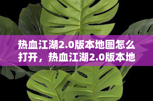 0版本地图怎么打开图片