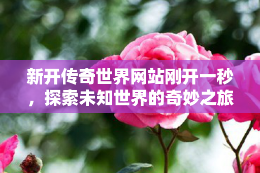 新开传奇世界网站刚开一秒图片