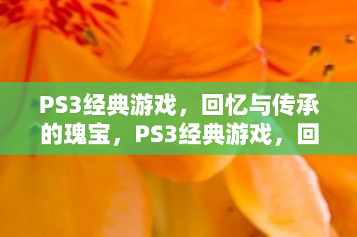 PS3经典游戏，回忆与传承的瑰宝，PS3经典游戏，回忆与传承的瑰宝