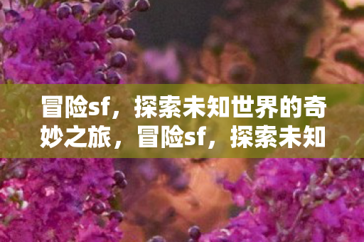 冒险sf，探索未知世界的奇妙之旅，冒险sf，探索未知世界的奇妙之旅