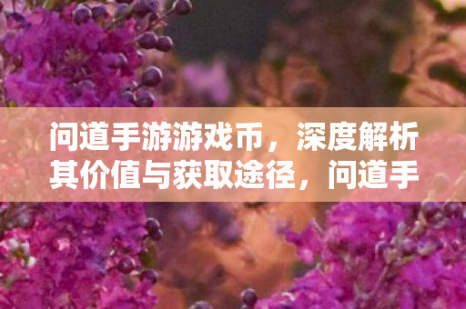 深度解析其价值与获取途径图片
