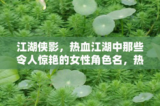 热血江湖中那些令人惊艳的女性角色名图片