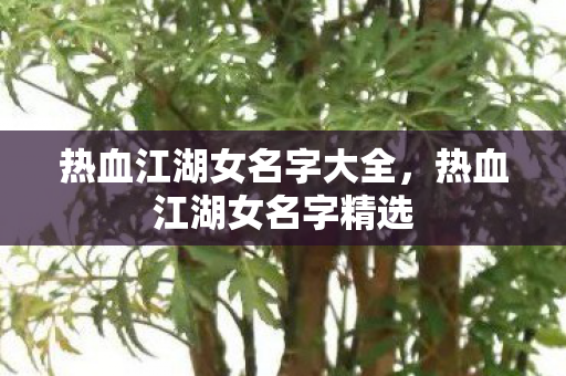 热血江湖女名字大全图片