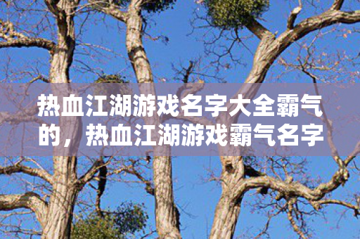 热血江湖游戏名字大全霸气的图片