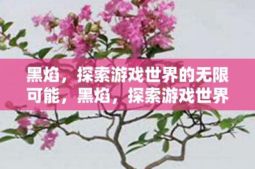 黑焰，探索游戏世界的无限可能，黑焰，探索游戏世界的无限可能