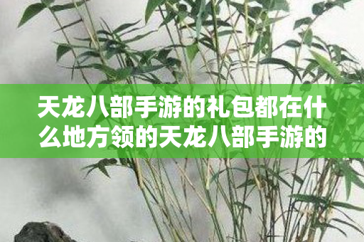 天龙八部手游的礼包都在什么地方领的天龙八部手游的礼包领取攻略图片