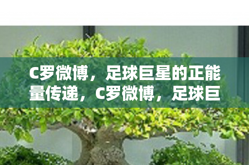 C罗微博,足球巨星的正能量传递,C罗微博,足球巨星的正能量传递 C罗微博,足球巨星的正能量传递,C罗微博,足球巨星的正能量传递