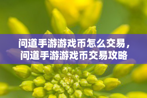 问道手游游戏币怎么交易图片