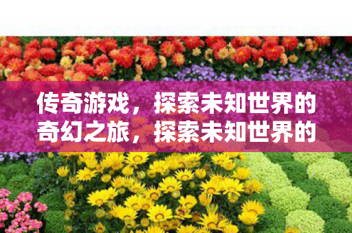 传奇游戏，探索未知世界的奇幻之旅，探索未知世界的奇幻之旅，传奇游戏
