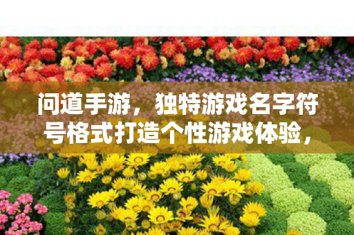 问道手游，独特游戏名字符号格式打造个性游戏体验，问道手游，打造个性游戏体验，独特游戏名字符号格式等你来取！
