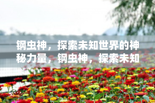 钢虫神，探索未知世界的神秘力量，钢虫神，探索未知世界的神秘力量