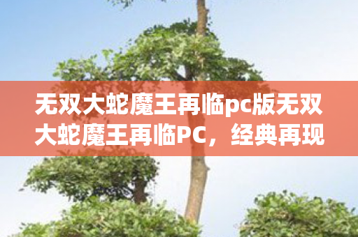 无双大蛇魔王再临pc版无双大蛇魔王再临PC图片