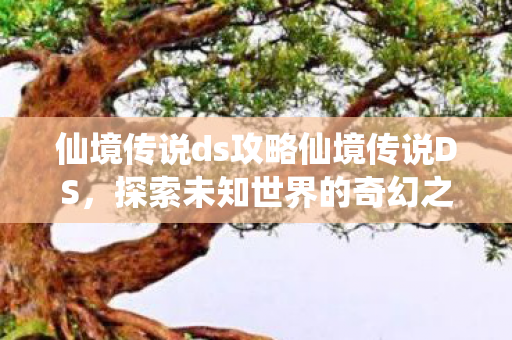 仙境传说ds攻略仙境传说DS，探索未知世界的奇幻之旅，仙境传说DS，探索未知世界的奇幻冒险之旅