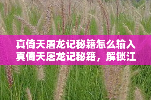 真倚天屠龙记秘籍怎么输入真倚天屠龙记秘籍,解锁江湖传奇的终极奥义,解锁江湖传奇,真倚天屠龙记秘籍输入指南 真倚天屠龙记秘籍怎么输入真倚天屠龙记秘籍,解锁江湖传奇的终极奥义,解锁江湖传奇,真倚天屠龙记秘籍输入指南