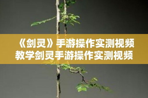 手游操作实测视频教学剑灵手游操作实测视频图片