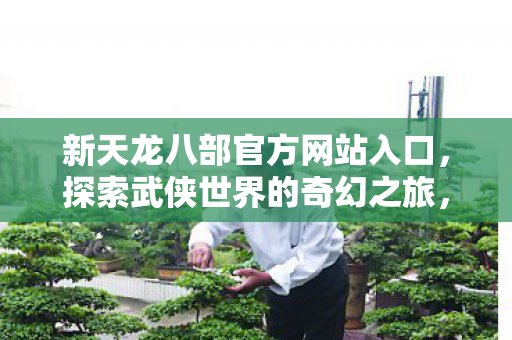 新天龙八部官方网站入口，探索武侠世界的奇幻之旅，探索武侠奇幻之旅，新天龙八部官方网站入口