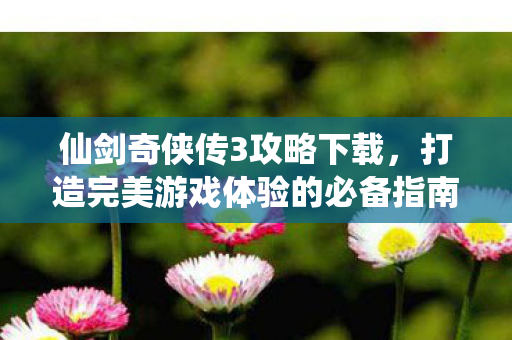 仙剑奇侠传3攻略下载，打造完美游戏体验的必备指南，仙剑奇侠传3攻略下载，打造完美游戏体验的必备指南