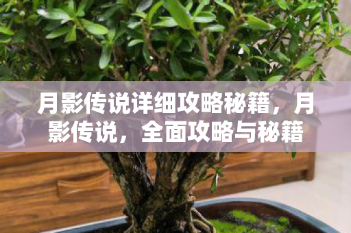 月影传说详细攻略秘籍，月影传说，全面攻略与秘籍