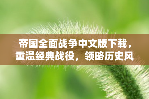 帝国全面战争中文版下载图片