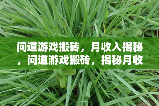 揭秘月收入多少图片
