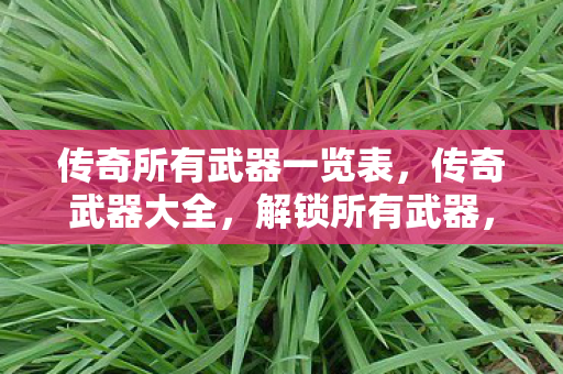 传奇所有武器一览表,传奇武器大全,解锁所有武器,打造无敌战斗力 传奇所有武器一览表,传奇武器大全,解锁所有武器,打造无敌战斗力
