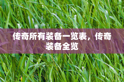 传奇所有装备一览表图片
