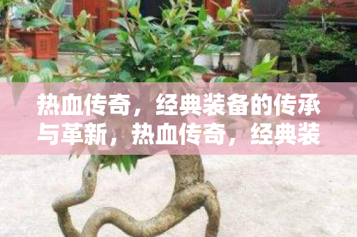 经典装备的传承与革新之路图片