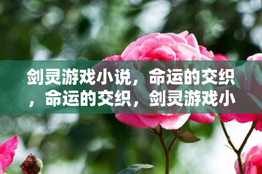 剑灵游戏小说，命运的交织，命运的交织，剑灵游戏小说