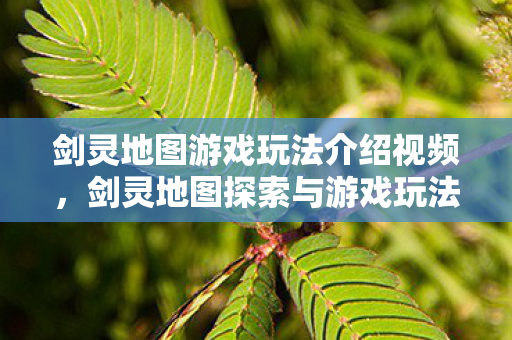 剑灵地图探索与游戏玩法全解析图片