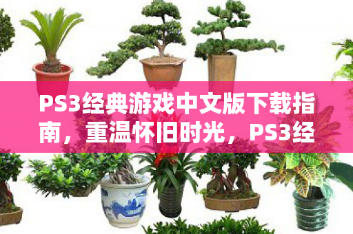 PS3经典游戏中文版下载指南，重温怀旧时光，PS3经典游戏中文版下载指南，重温怀旧时光