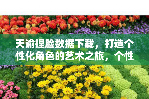 天谕捏脸数据下载，打造个性化角色的艺术之旅，个性化角色打造，天谕捏脸数据下载的艺术之旅