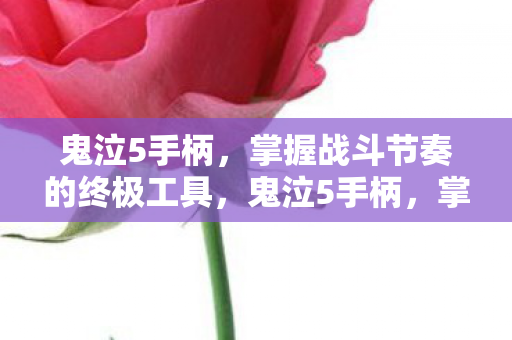 鬼泣5手柄,掌握战斗节奏的终极工具,鬼泣5手柄,掌握战斗节奏的终极工具 鬼泣5手柄,掌握战斗节奏的终极工具,鬼泣5手柄,掌握战斗节奏的终极工具
