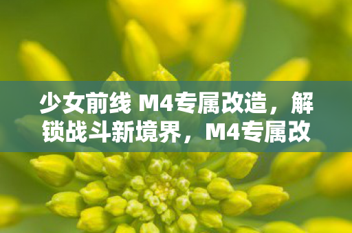 少女前线 M4专属改造，解锁战斗新境界，M4专属改造解锁少女前线战斗新境界