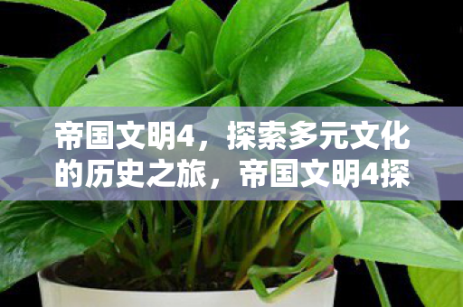 帝国文明4，探索多元文化的历史之旅，帝国文明4探索多元文化的历史之旅