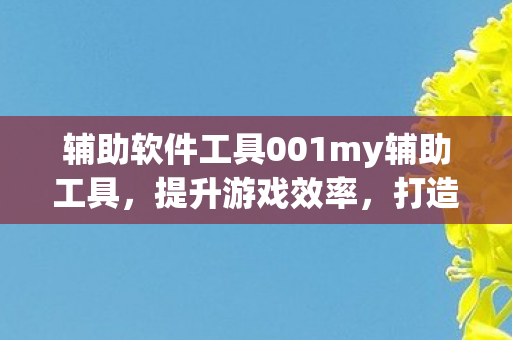 辅助软件工具001my辅助工具图片