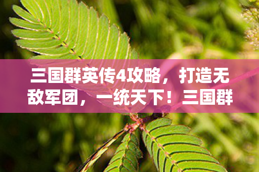 三国群英传4攻略,打造无敌军团,一统天下!三国群英传4,打造无敌军团,一统天下攻略 三国群英传4攻略,打造无敌军团,一统天下!三国群英传4,打造无敌军团,一统天下攻略