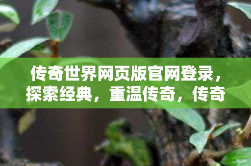传奇世界网页版官网登录图片