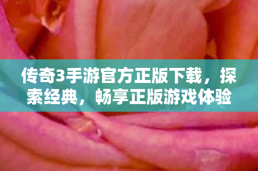 传奇3手游官方正版下载，探索经典，畅享正版游戏体验，传奇3手游官方正版下载，重温经典传奇之旅