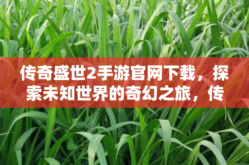 传奇盛世2手游官网下载，探索未知世界的奇幻之旅，传奇盛世2手游，探索未知世界的奇幻之旅