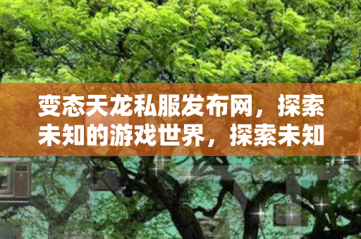 变态天龙私服发布网，探索未知的游戏世界，探索未知，变态天龙私服发布网带你走进游戏世界