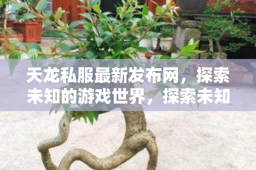 天龙私服最新发布网，探索未知的游戏世界，探索未知游戏世界，天龙私服最新发布网