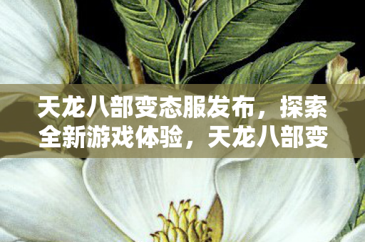 天龙八部变态服震撼发布图片