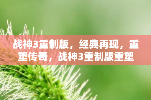 战神3重制版,经典再现,重塑传奇,战神3重制版重塑传奇 战神3重制版,经典再现,重塑传奇,战神3重制版重塑传奇