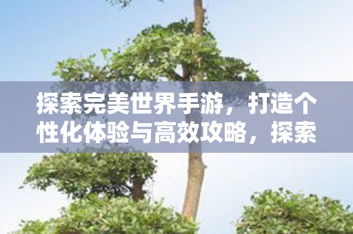 探索完美世界手游，打造个性化体验与高效攻略，探索个性化手游体验，打造高效攻略